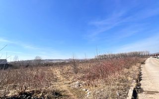 Vanzare I tTerenIntravilan I Suceava/Itcani I 18650 Mp I 89Euro/Mp - Poză 1