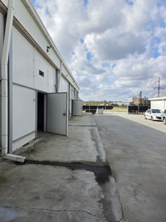 Hală industrială nouă de închiriat – Lumina, Constanța - Poză 2