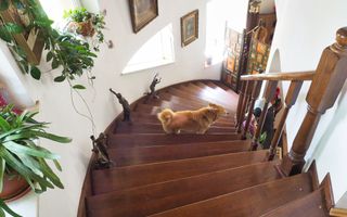 NOU-VILA 6 CAMERE SNAGOV IZVORANI LAC -TEREN 1800mp - Poză 10