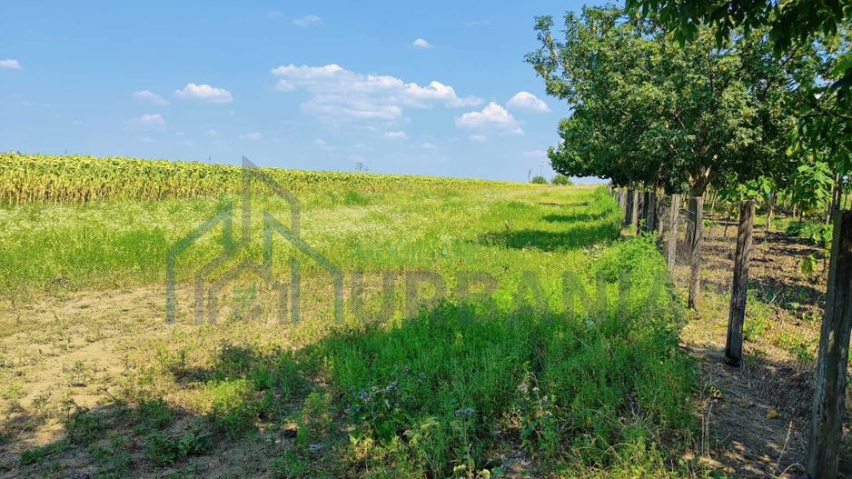 Teren intravilan de 1300 mp în sat Popricani, comuna Popricani, județul Iași - Poză 3