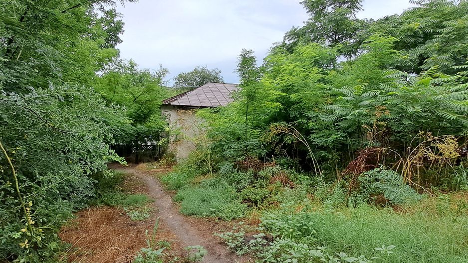 Giurgiu, comuna DAIA, teren 1300 m, deschidere 21, imobil pe teren - Poză 3