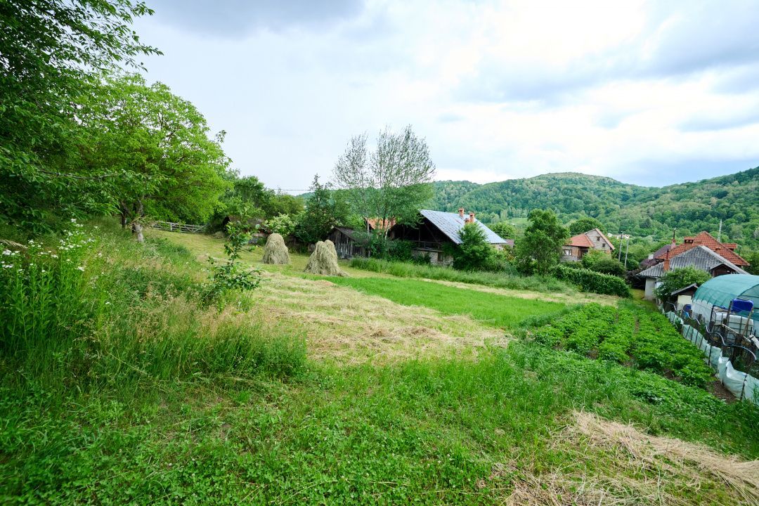 Casa cu teren generos - 4696 mp Apa Sarata - Campulung !! - Poză 11