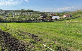 Teren 3300 mp-investitie, case de vacanta, agricultura-Valea Sigmirului - Poză 1