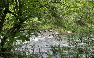 Investiție cu suflet: Pensiune de vânzare pe Valea Avrigului - Poză 9