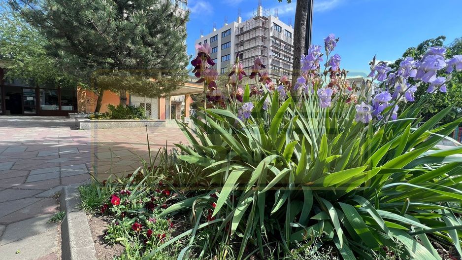 Apartament 3 camere premium Tatarasi Parcul Ciurchi - Poză 15