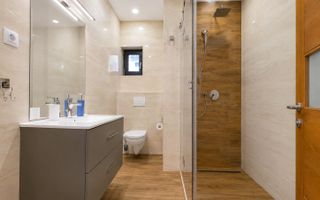Apartament Premium | 2 camere | 60mp | Zona Platinia | USAMV - UMF - Poză 4