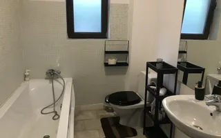 Splaiul Unirii, Mihai Bravu, parter in vila - Poză 13
