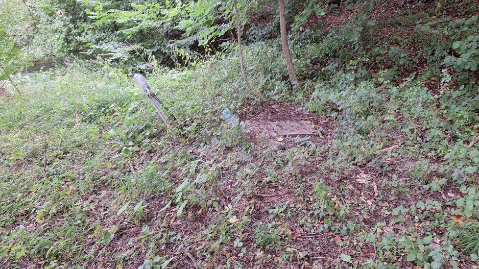 VANZARE ANSAMBLU CASUTE BRADULET ARGES - Poză 17