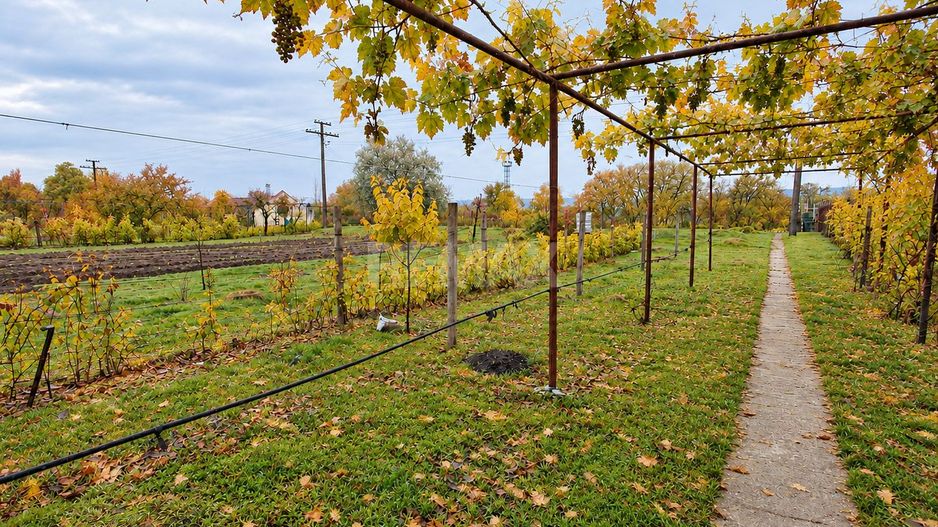 CASĂ DE VÂNZARE ÎN BULBOACA ANENII- NOI – 119 m² | 18 ARI | - Poză 4