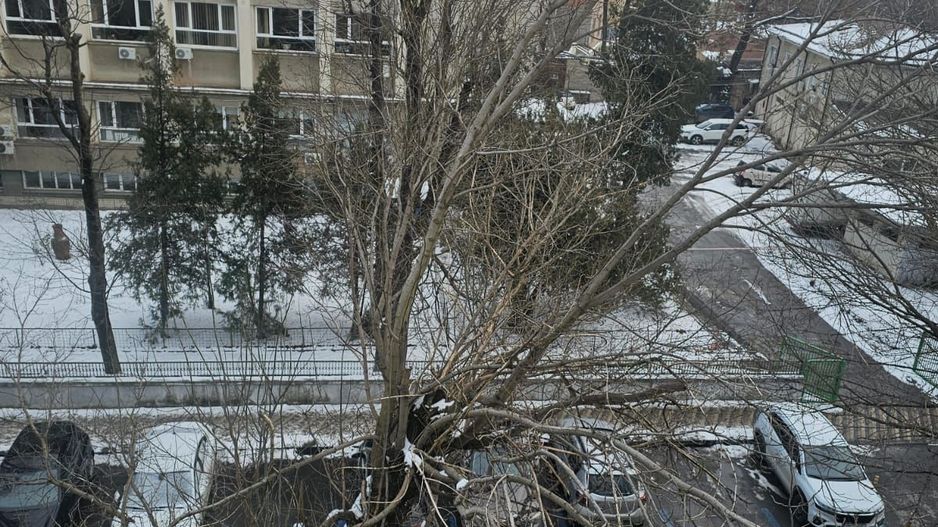 Vilă interbelică de vânzare – Cotroceni - Poză 18