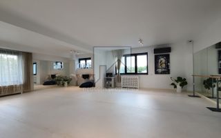 Vanzare Vila de exceptie - Domenii - Poză 13