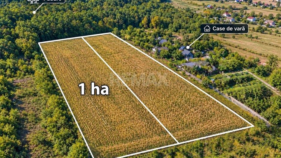 1Ha Agricol or.Ialoveni - Poză 1