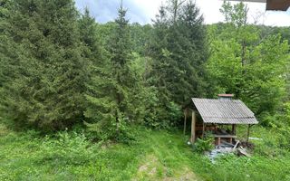 Investiție cu suflet: Pensiune de vânzare pe Valea Avrigului - Poză 10