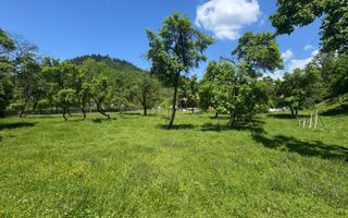 TEREN INTRAVILAN 3477 MP STOENEȘTI BĂDENI ARGEȘ - Poză 20