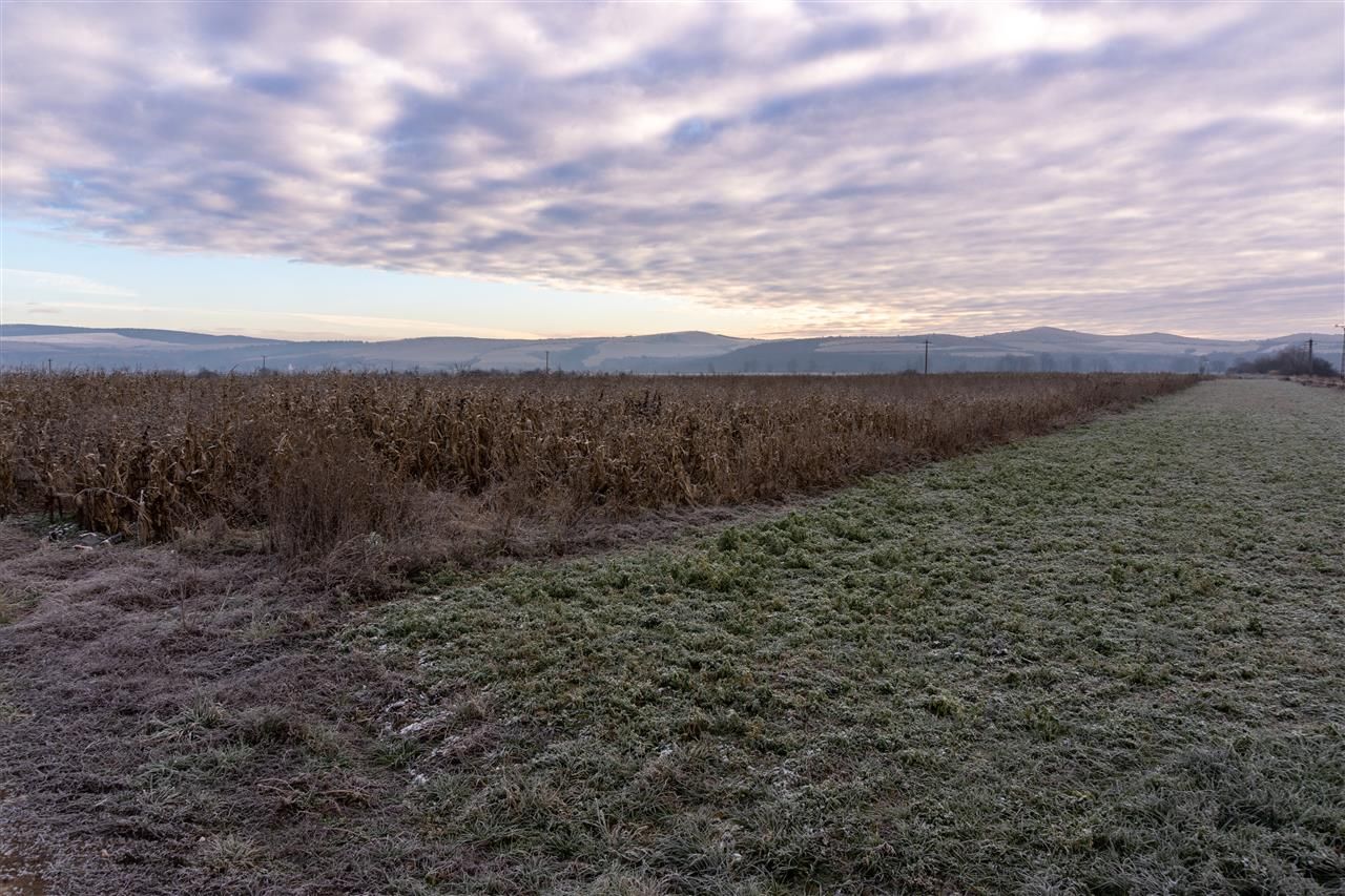 5.000 mp, teren extravilan, conditii apreciabile, Bod, Brasov - Poză 2
