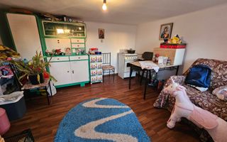 Casa 127mp mobilata/utilata+ anexa+garaj+beci+teren intravilan 1233 mp - Poză 8