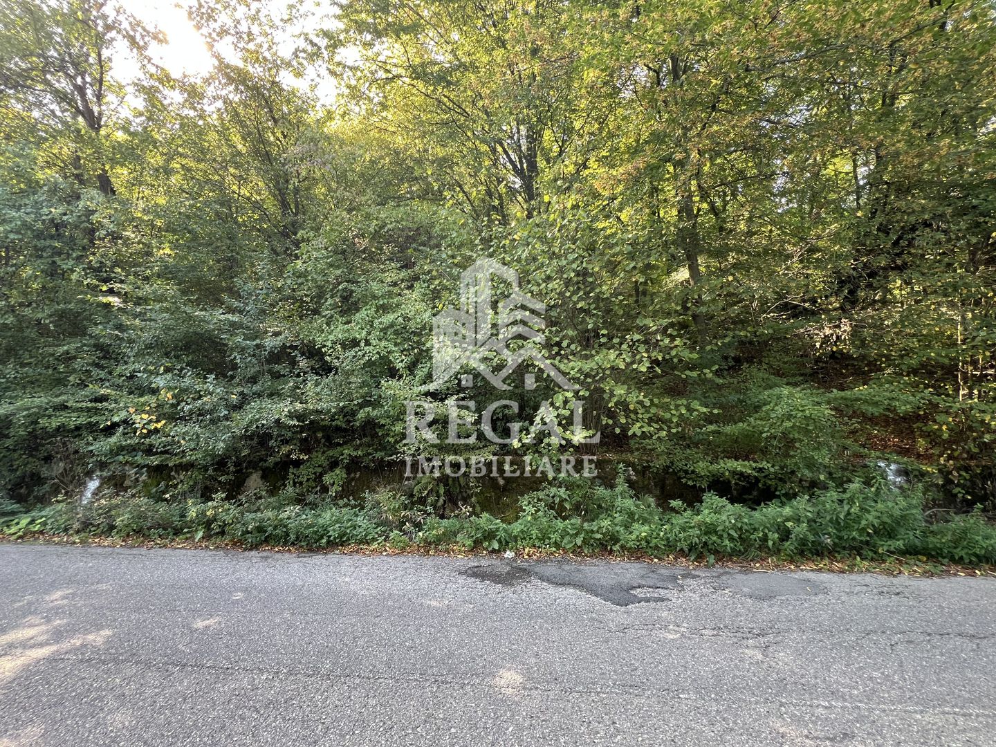 Teren extravilan de vânzare – Lacul Cinciș - Poză 3