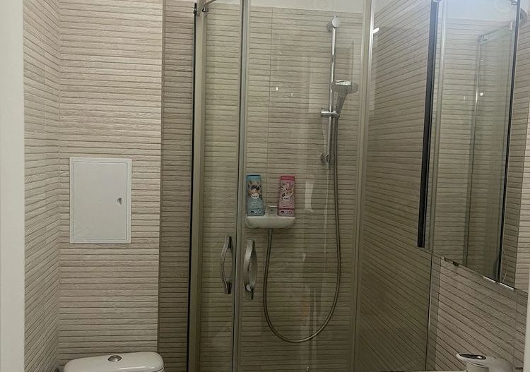 APARTAMENT 2 CAMERE | DOROBANTI - Poză 5