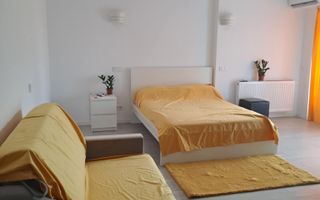 Studio Low Level Decomandat GranVia Park Bd Timisoara Parcul Liniei - Poză 12