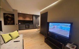 Chirie, apartament 1 cameră, str. Constantin Varnav, Centru - Poză 6