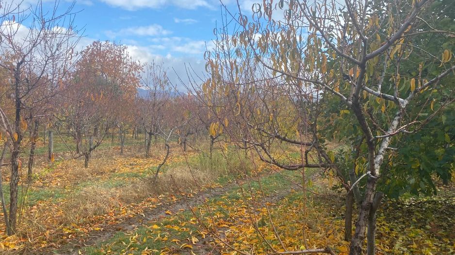 Vanzare casă spațioasă cu teren generos în Cândești Vale–jud Dambovita - Poză 21