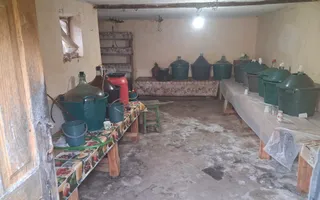 Casă tradițională cu teren generos – Borosteni, Peștișani, jud. Gorj - Poză 11
