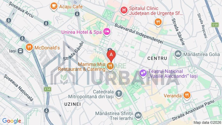 Spațiu comercial ultracentral – Bd. Ștefan cel Mare, Iași (Piața Unirii) - Poză 1