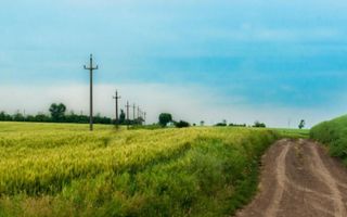 Teren intravilan in comuna Glina - Poză 3