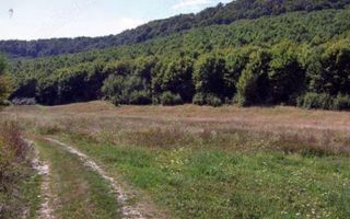 TEREN 30.000 MP (3 HA) – VIILE DEJULUI, CLUJ – 7 €/MP – VÂNZARE RAPIDĂ - Poză 2