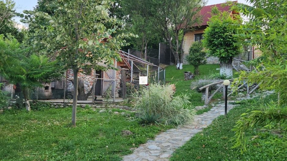 Vila Horezu Romanii de Jos - Poză 23