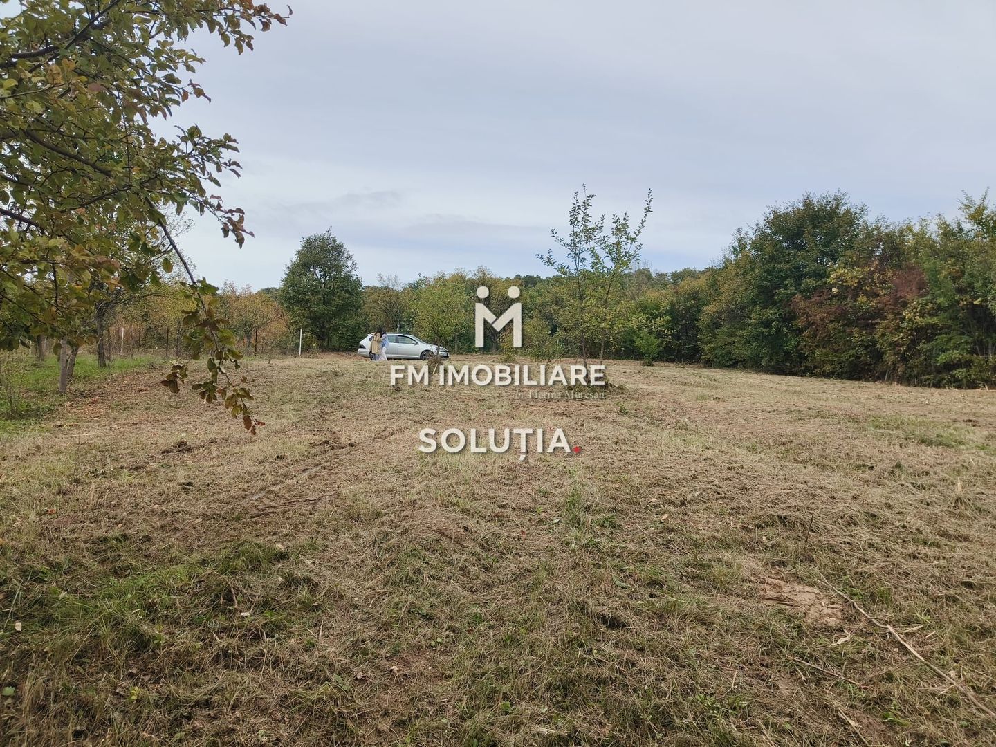 Teren intravilan de vânzare – 14 ari – Buzești – 25 minute de oraș - Poză 3