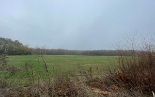 9400 mp | Ideal pentru investitie | Tunari | Deschidere la padure - Poză 4