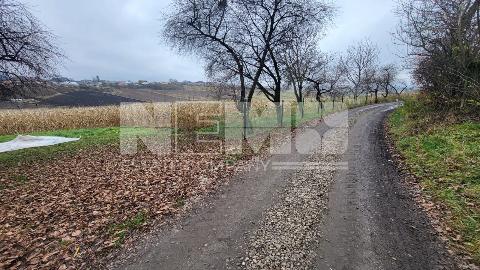 TEREN MOARA I SUCEAVA I LOC DE CASA I 20Ari I 60,000Euro - Poză 5