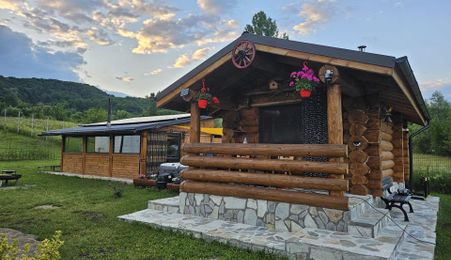 Cabana de Vis Valcanesti Prahova !
