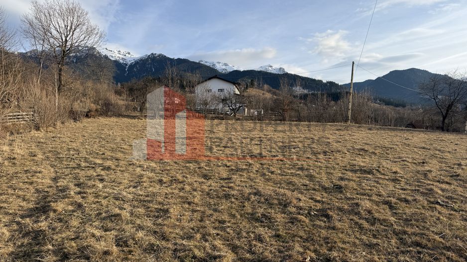 Teren 2110 mp Bran Poarta - Poză 7