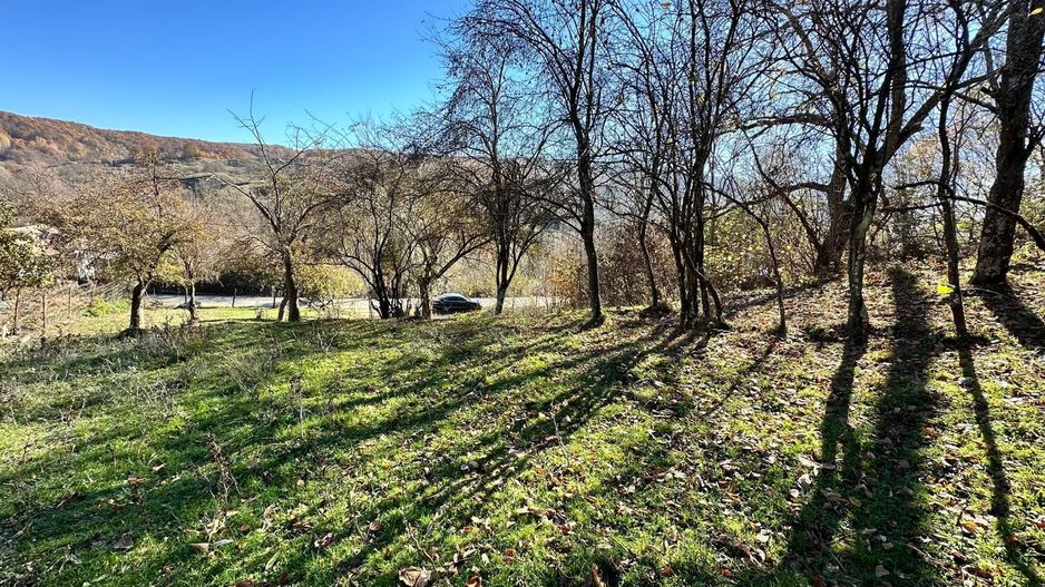 Teren 4044 mp, deschidere 60m, la 18 km de Campina, asfalt si curent - Poză 3