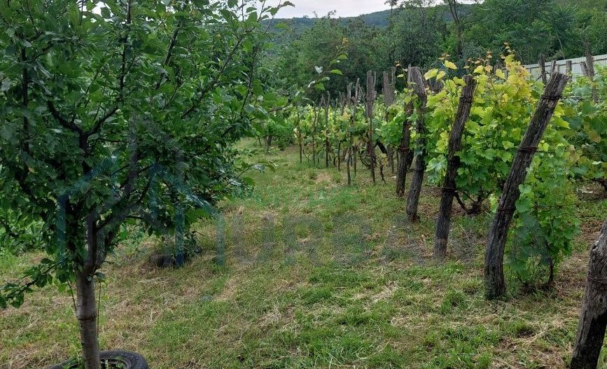 Casă de vânzare, 2 camere, Hilița, Costuleni - Poză 6
