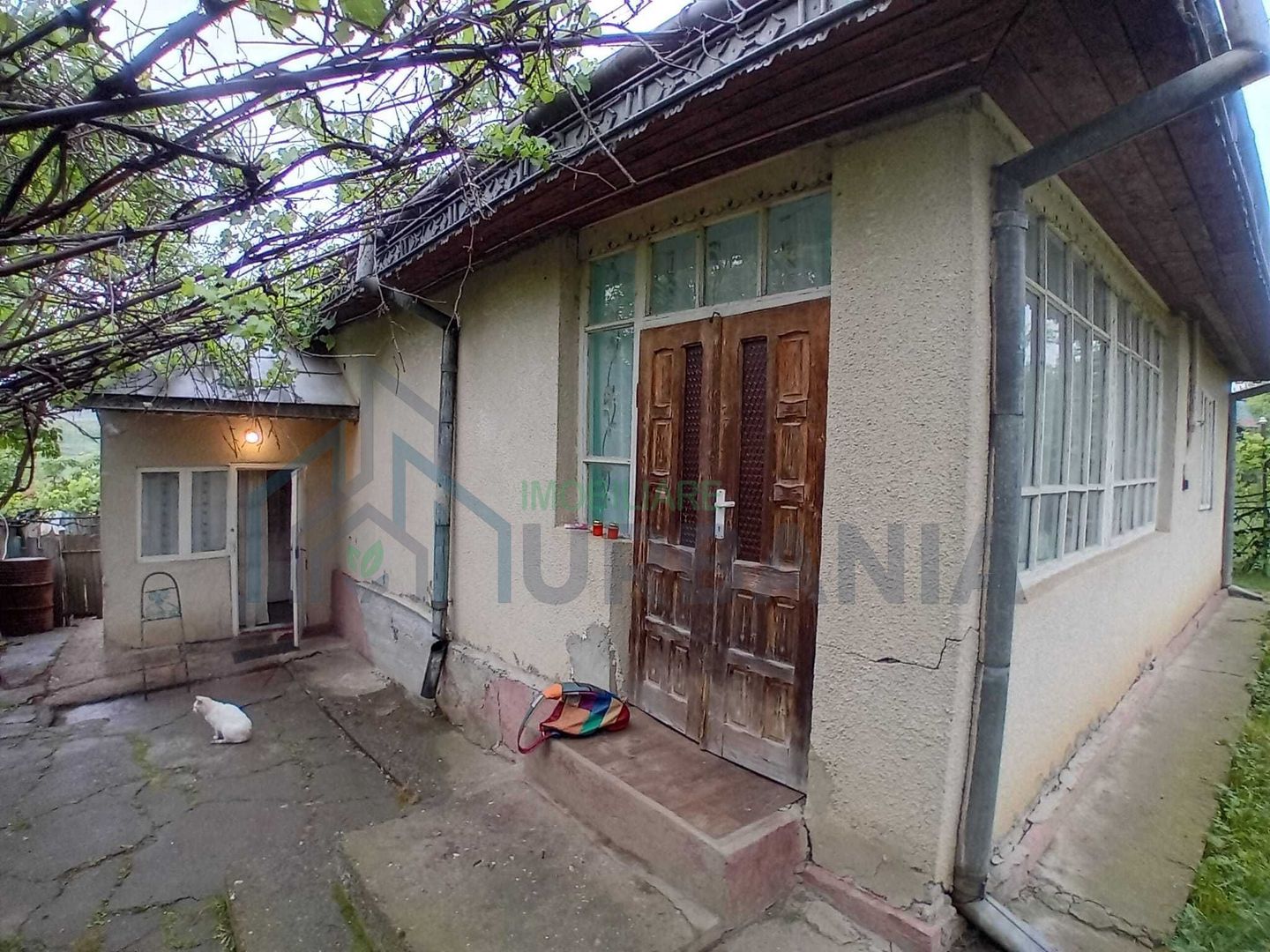 Casă cu grădină și anexe în Hoișești, la 20 minute de Iași - Poză 2