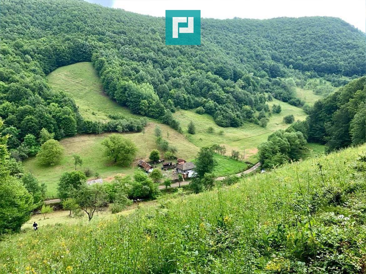 Teren  pentru investiții  în Luncoiu de Jos - Poză 1