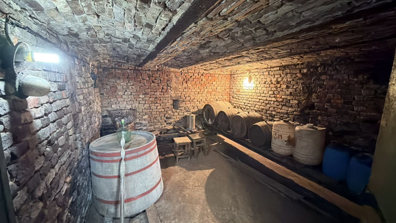 De vânzare 2 Case de vinificație cu Teren 4108 mp - Grădina Viilor - Carei - Poză 6