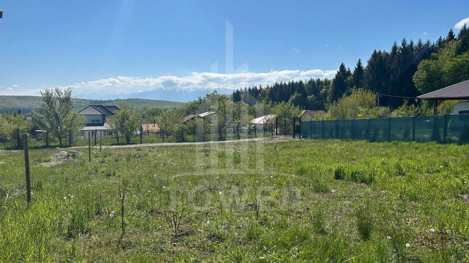 TEREN 600 MP | VEDERE PANORAMICĂ | LA MARGINEA PĂDURII | Tocile, SIBIU - Poză 3