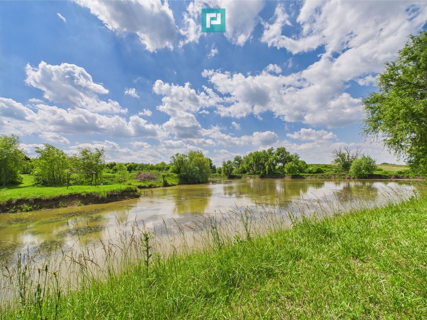 Teren cu baltă- oportunități multiple la Fibiș - Poză 30