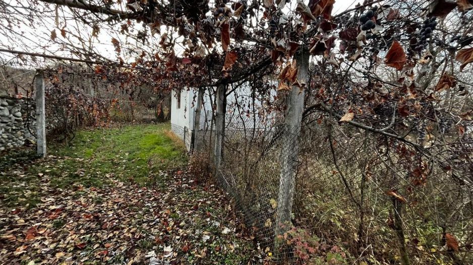Casă + teren generos de vânzare în Strâmba Jiu - Poză 9