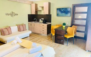 Studio de închiriat-Zona Centrala - Poză 2