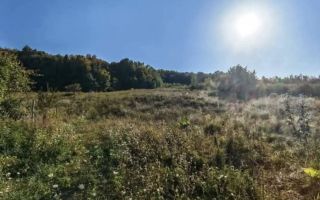 Teren de 6200 mp în intravilan, Barnova – ideal pentru pensiune turistică sau parcelare case de vacanță - Poză 3