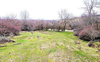 Terenuri extravilane de vânzare – Vizma & Crivobara, comuna Secaș, jud. Timiș - Poză 2