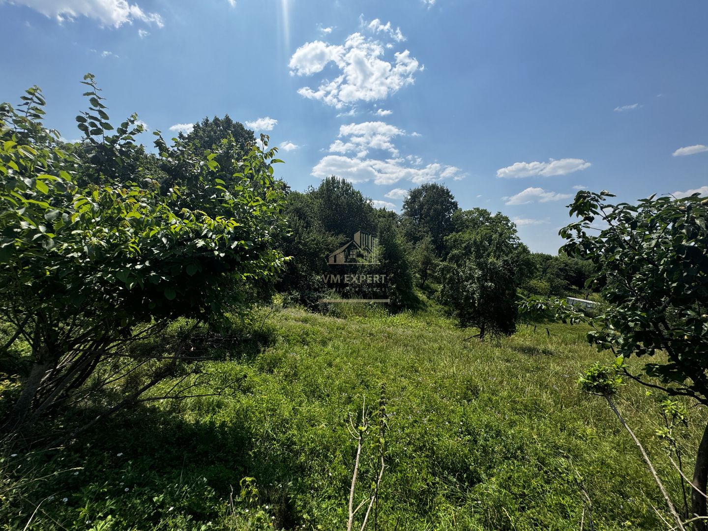 TEREN INTRAVILAN 2146 MP, ALBESTII DE MUSCEL, ARGES - Poză 3