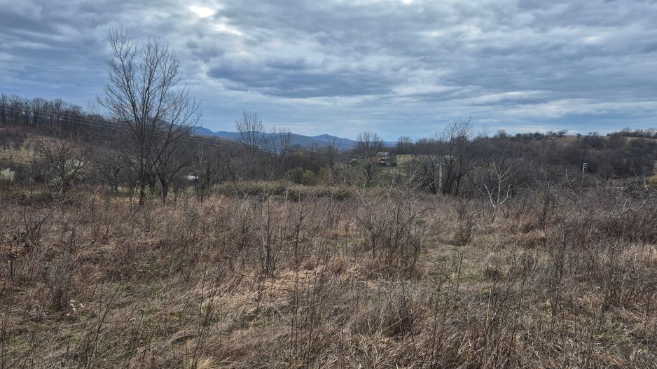 Vand 2 parcele de 5700 mp zona Iabalcea - Poză 4