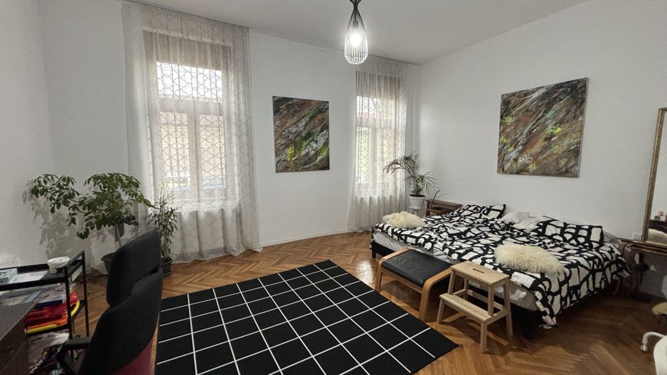 Apartament 3 camere la curte - Poză 10
