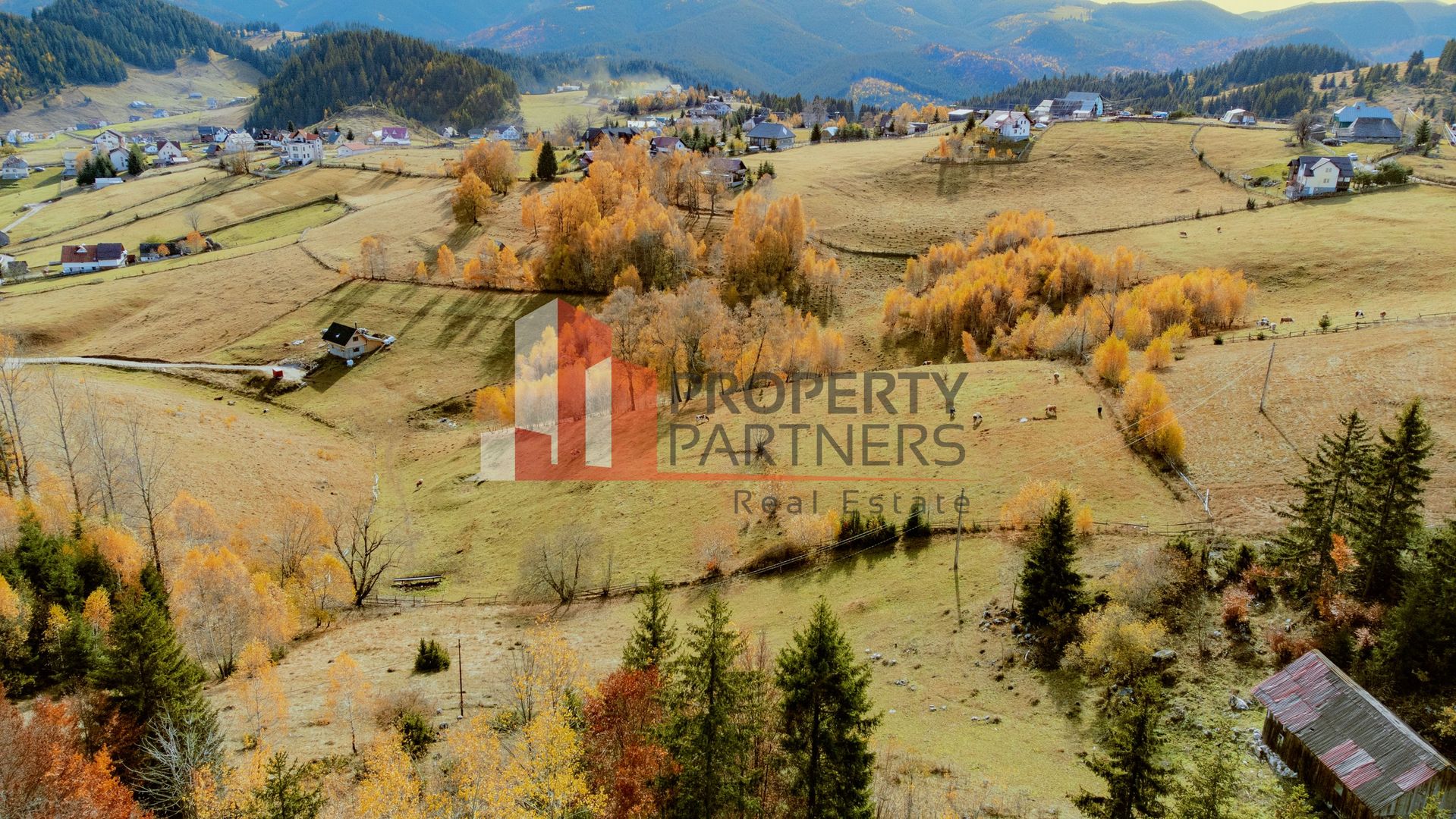 Teren cu PUZ aprobat Fundata / priveliste superba - Poză 8